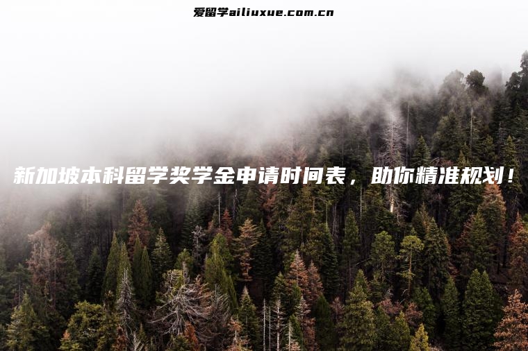 新加坡本科留学奖学金申请时间表，助你精准规划！