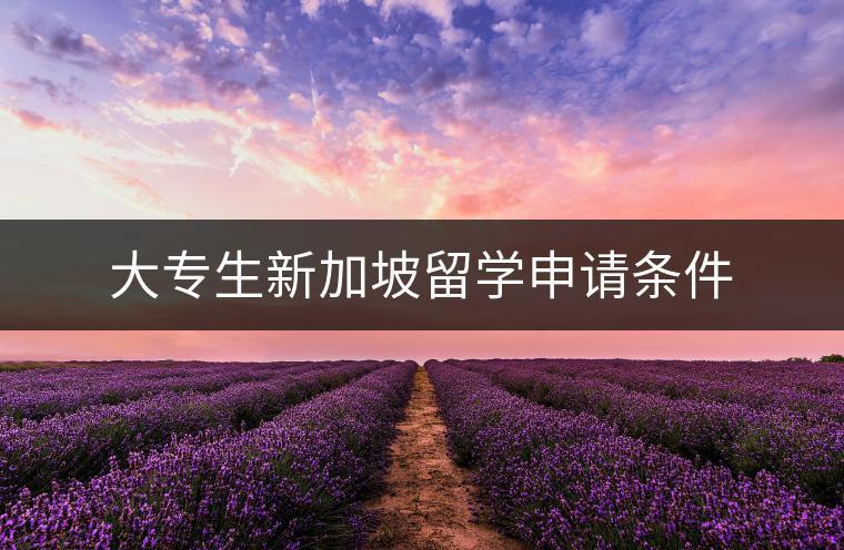 大专生新加坡留学申请条件：通往狮城学术殿堂的敲门砖
