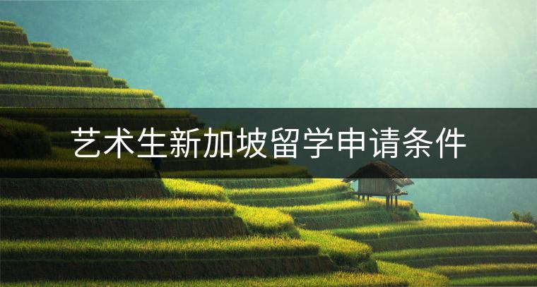 艺术生新加坡留学申请条件
