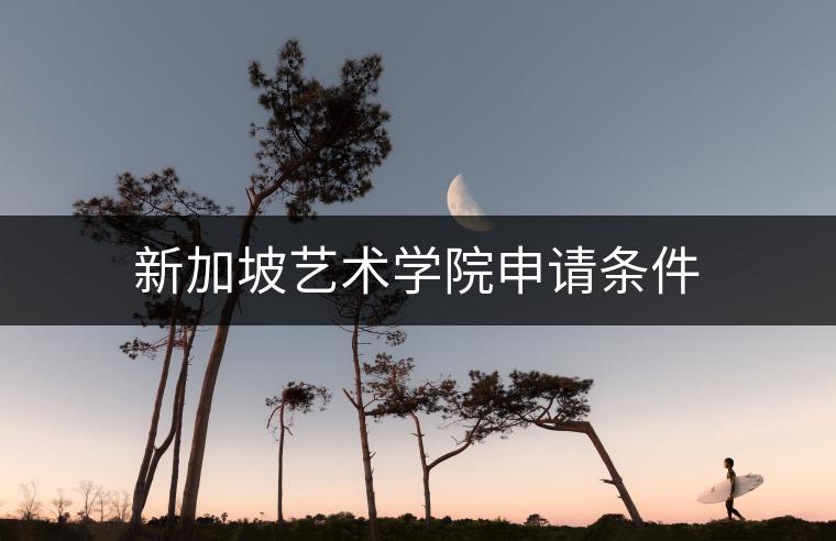 新加坡艺术学院申请条件：叩开艺术殿堂的大门