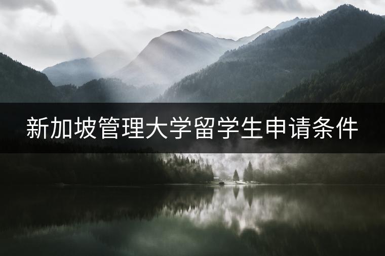 新加坡管理大学留学生申请条件：通往亚洲顶尖商学院的指南