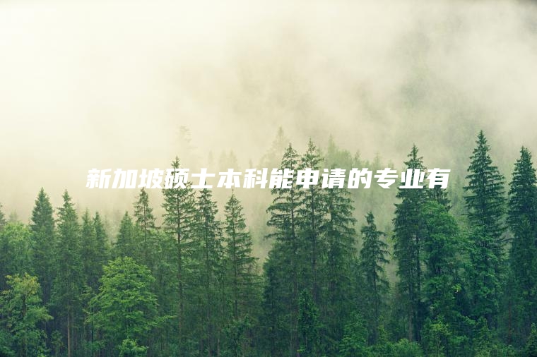 新加坡硕士本科能申请的专业有