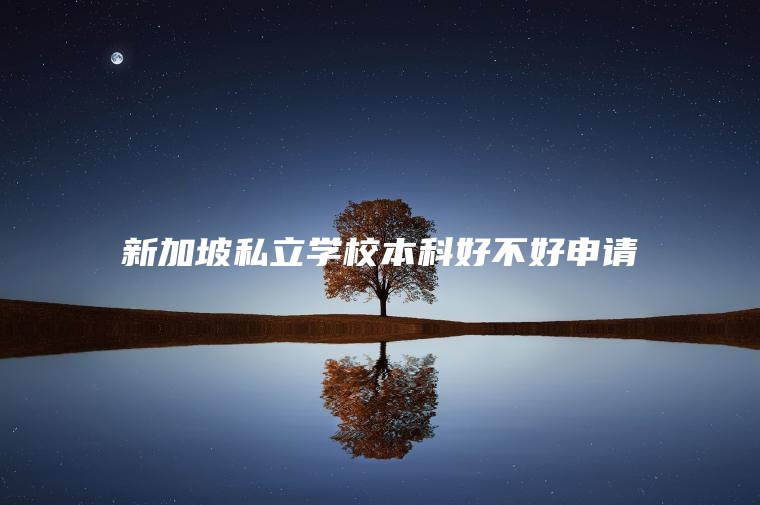 新加坡私立学校本科好不好申请