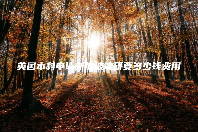 英国本科申请新加坡读研要多少钱费用