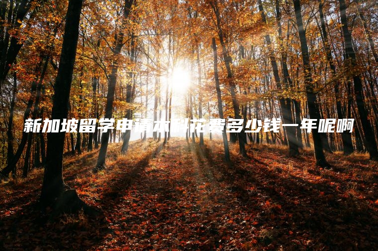 新加坡留学申请本科花费多少钱一年呢啊