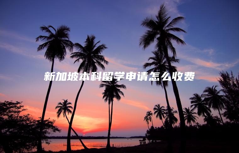 新加坡本科留学申请怎么收费