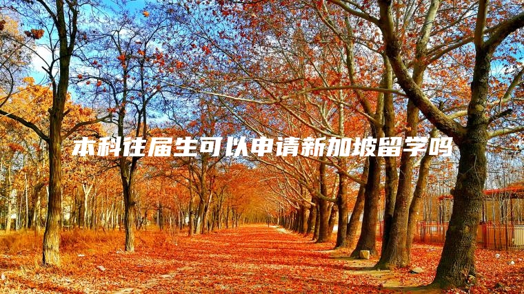 本科往届生可以申请新加坡留学吗