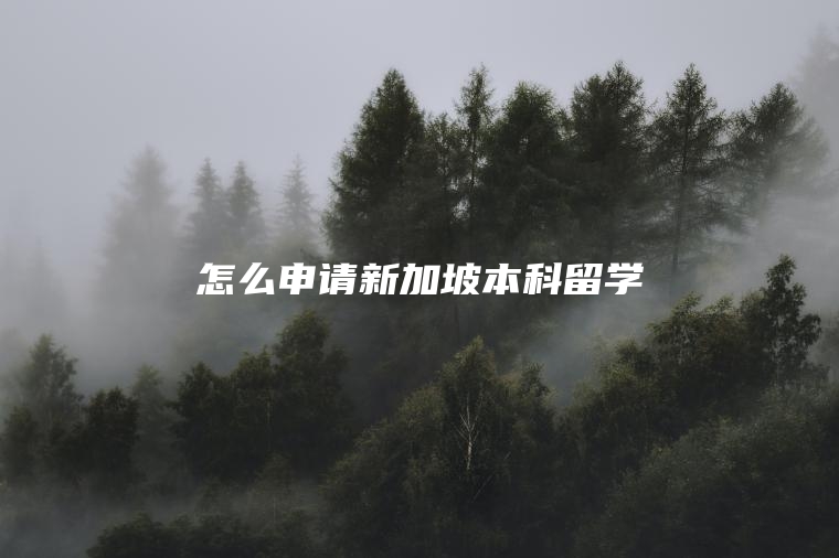 怎么申请新加坡本科留学