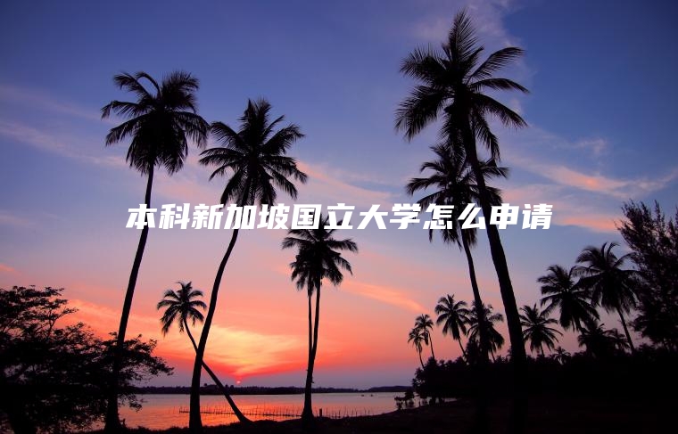 本科新加坡国立大学怎么申请