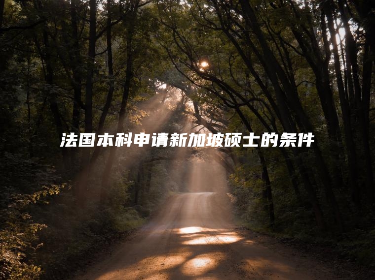 法国本科申请新加坡硕士的条件