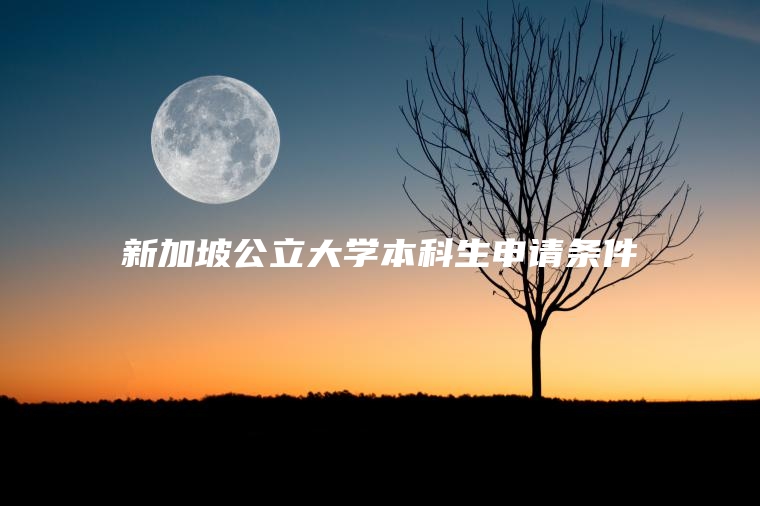 新加坡公立大学本科生申请条件