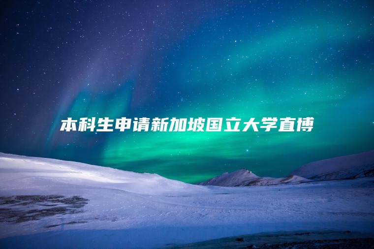 本科生申请新加坡国立大学直博