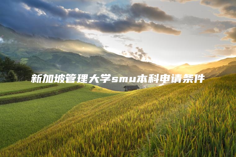 新加坡管理大学smu本科申请条件