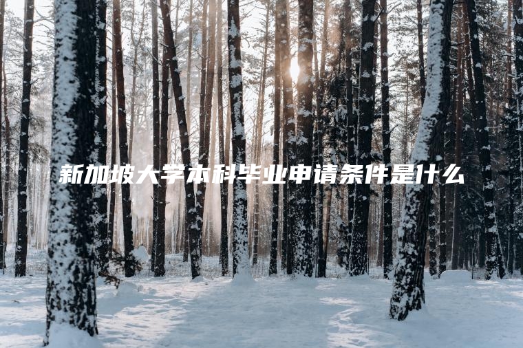 新加坡大学本科毕业申请条件是什么
