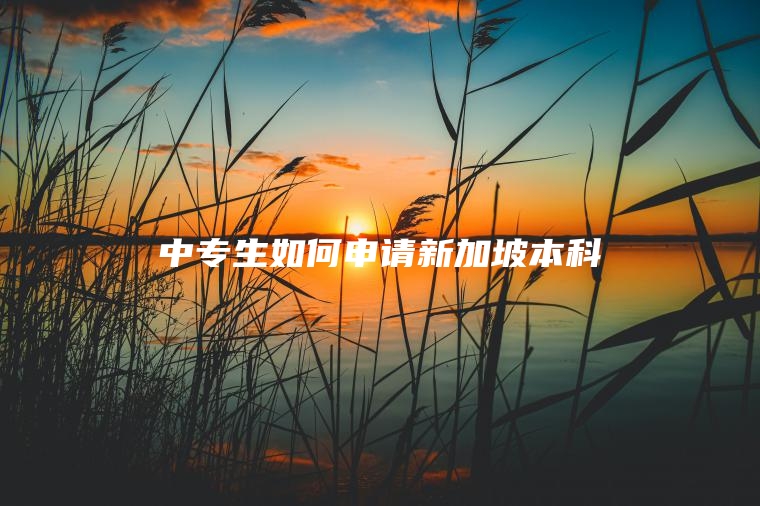 中专生如何申请新加坡本科
