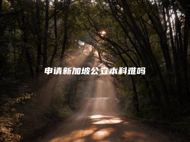 申请新加坡公立本科难吗