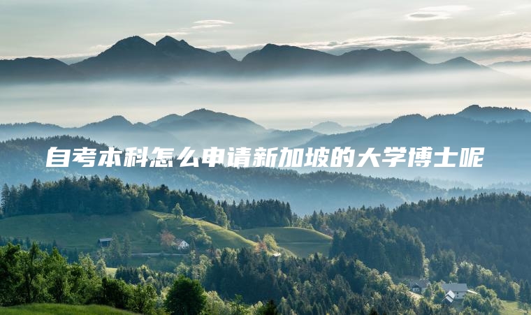 自考本科怎么申请新加坡的大学博士呢