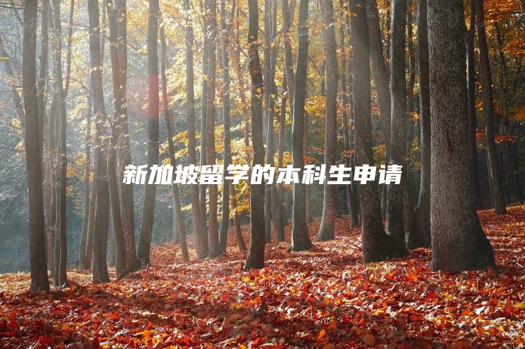 新加坡留学的本科生申请
