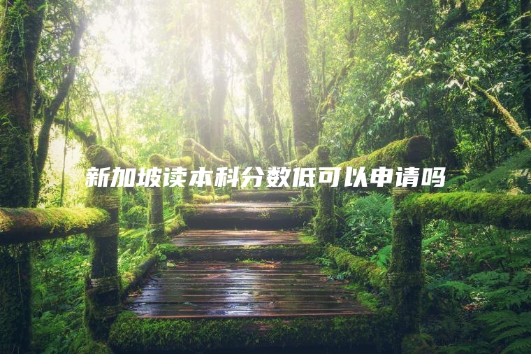 新加坡读本科分数低可以申请吗