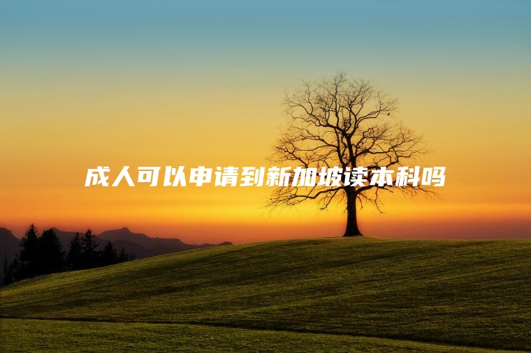 成人可以申请到新加坡读本科吗