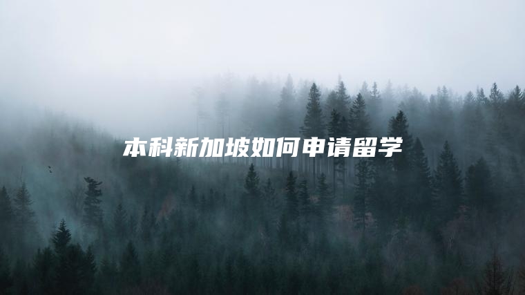 本科新加坡如何申请留学