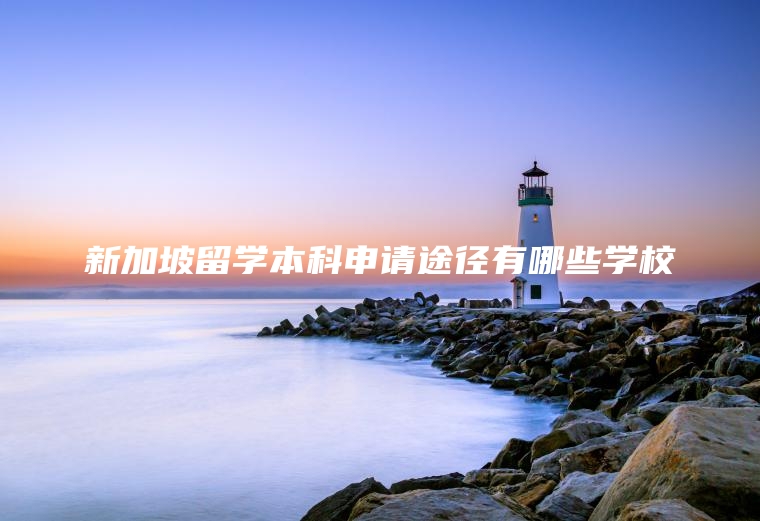 新加坡留学本科申请途径有哪些学校