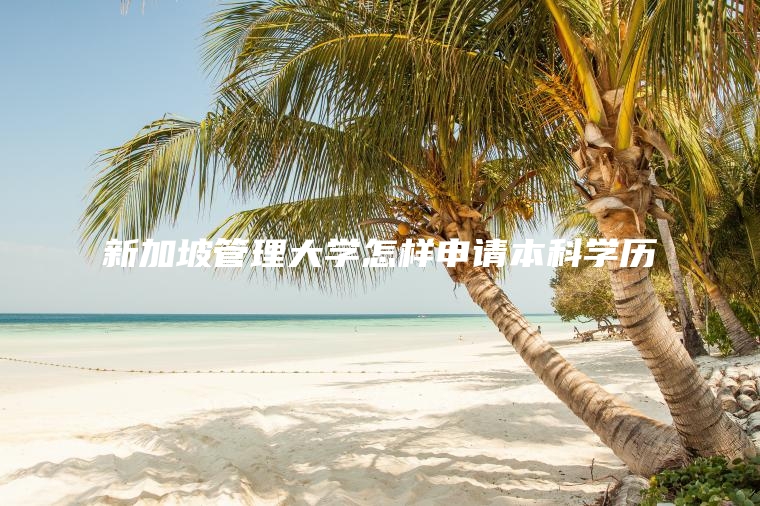 新加坡管理大学怎样申请本科学历 新加坡管理大学怎样申请本科学历