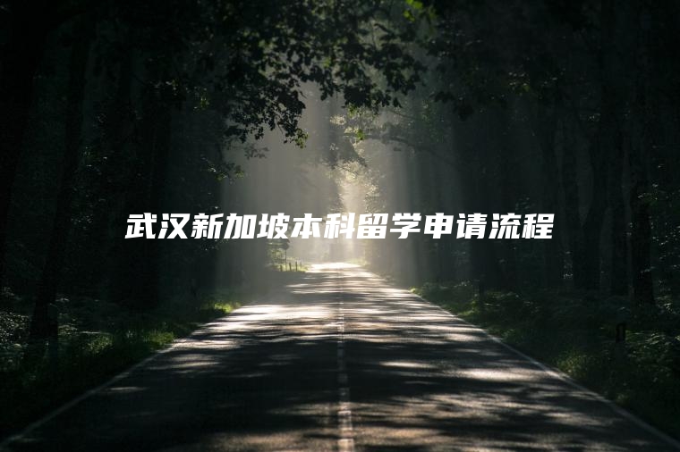 武汉新加坡本科留学申请流程