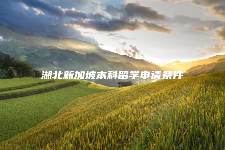 湖北新加坡本科留学申请条件