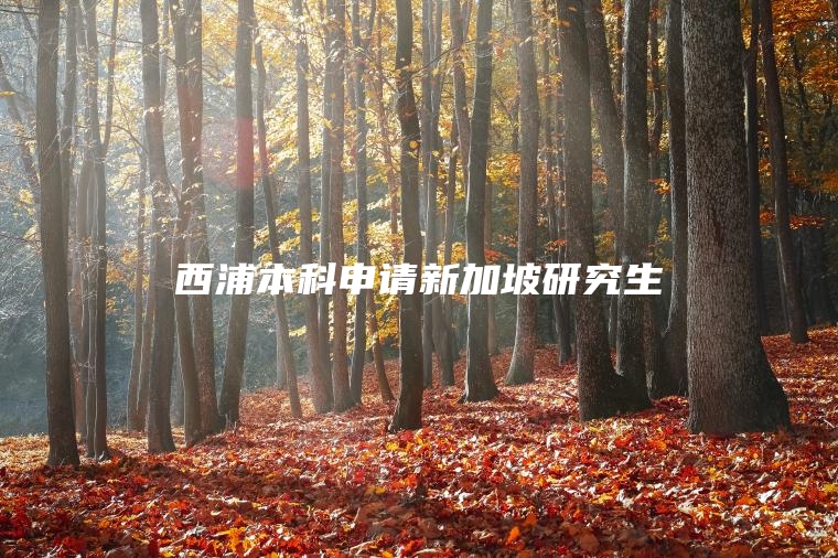 西浦本科申请新加坡研究生