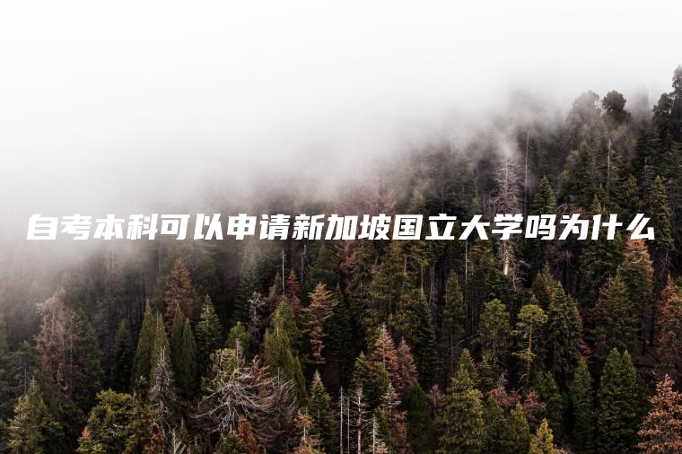 自考本科可以申请新加坡国立大学吗为什么