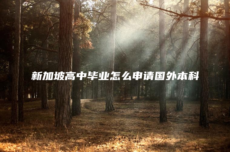 新加坡高中毕业怎么申请国外本科
