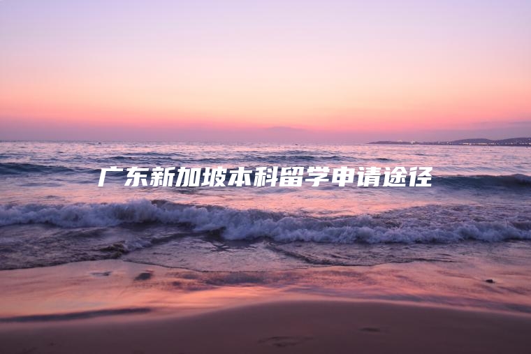 广东新加坡本科留学申请途径