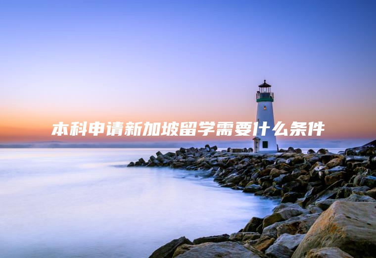 本科申请新加坡留学需要什么条件