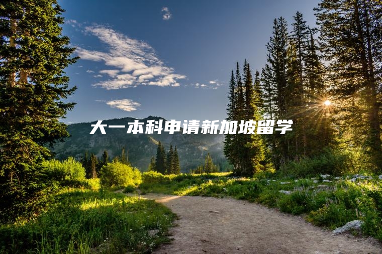 大一本科申请新加坡留学