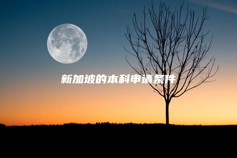 新加坡的本科申请条件