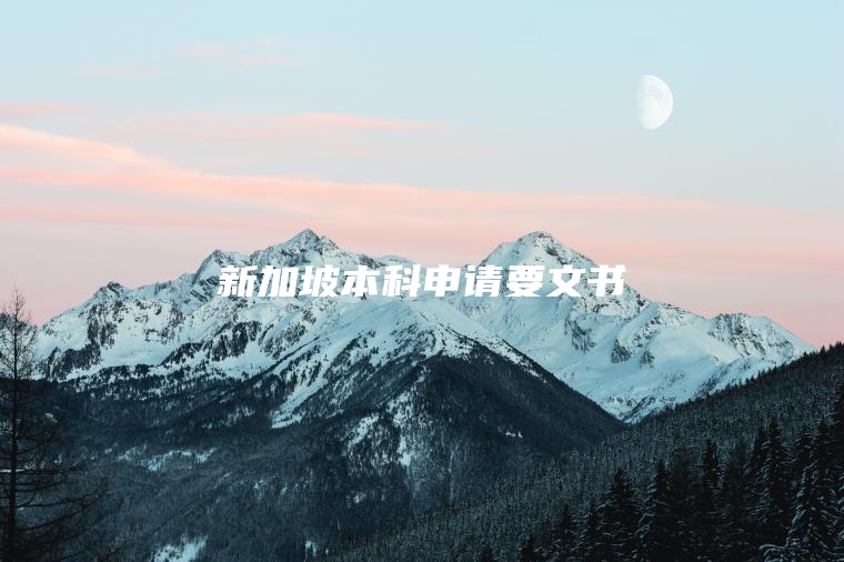 新加坡本科申请要文书