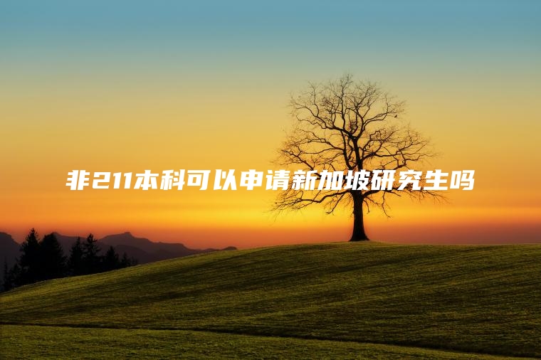 非211本科可以申请新加坡研究生吗