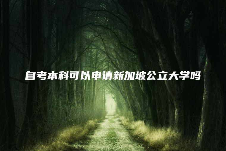 自考本科可以申请新加坡公立大学吗