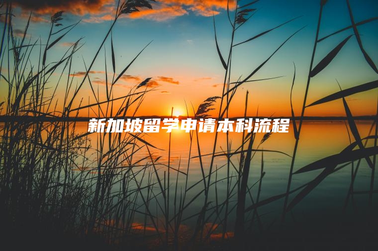 新加坡留学申请本科流程