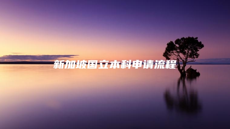 新加坡国立本科申请流程
