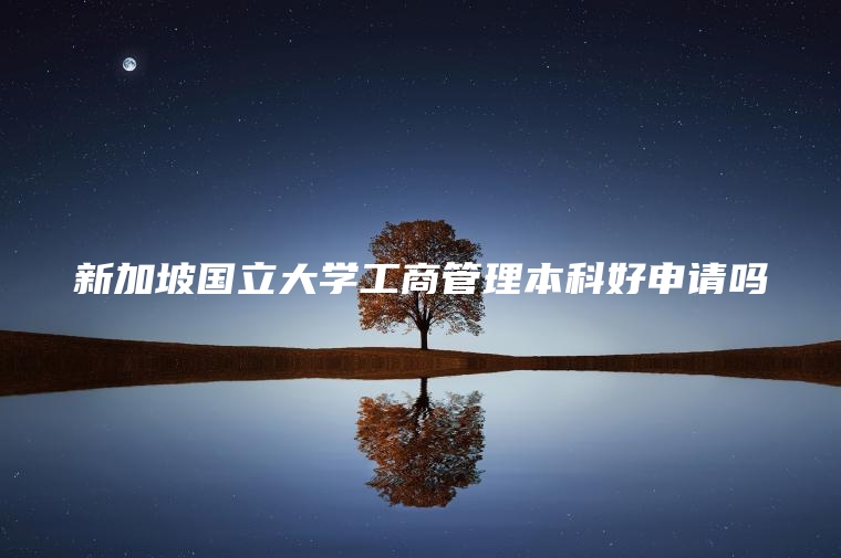 新加坡国立大学工商管理本科好申请吗