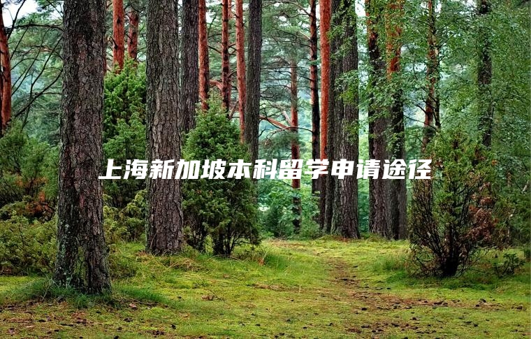 上海新加坡本科留学申请途径