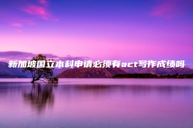 新加坡国立本科申请必须有act写作成绩吗
