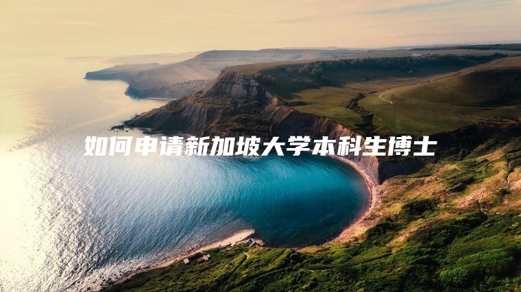 如何申请新加坡大学本科生博士