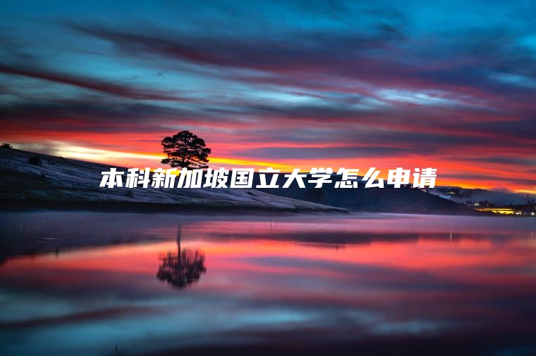 本科新加坡国立大学怎么申请