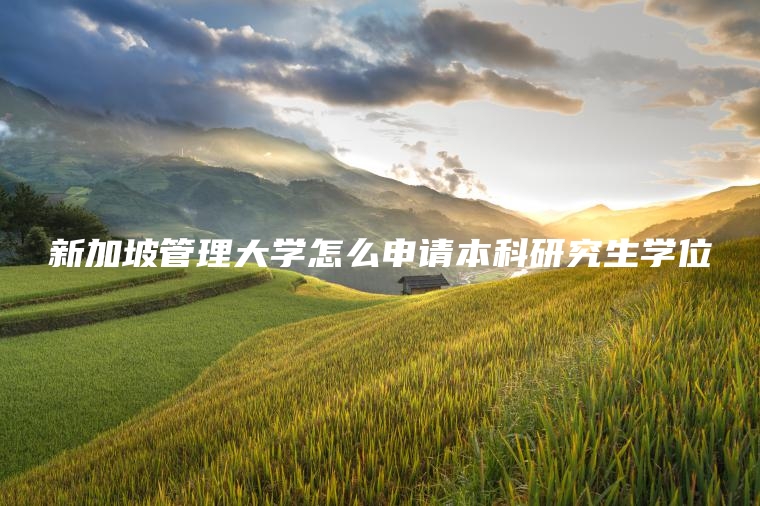 新加坡管理大学怎么申请本科研究生学位