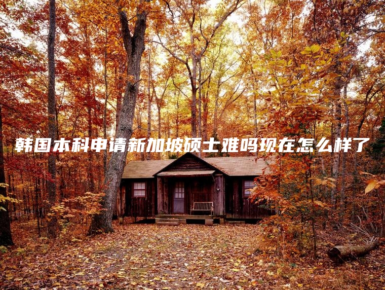 韩国本科申请新加坡硕士难吗现在怎么样了