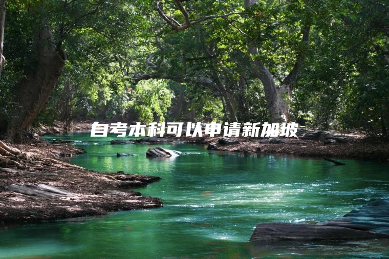 自考本科可以申请新加坡