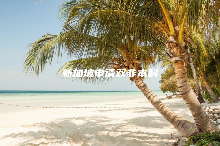 新加坡申请双非本科
